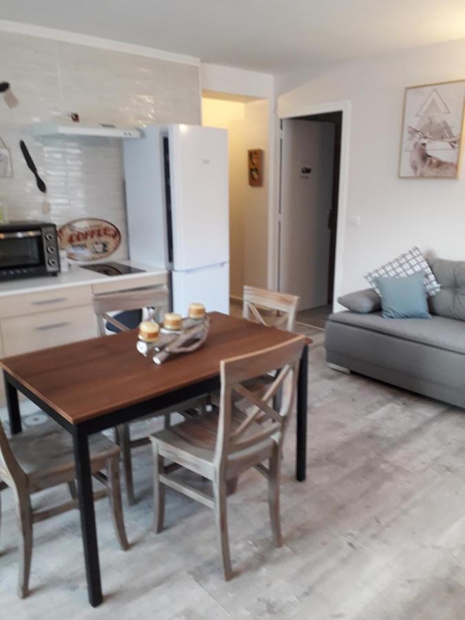 Enclos Savoyard Appartement Meuble 1Chambre 1 Canape Lits 3Personnes Grand-Aigueblanche Exterior foto